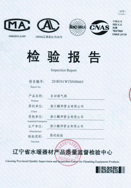 自動(dòng)排氣閥檢驗(yàn)報(bào)告