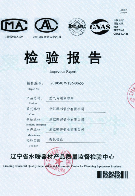 燃?xì)鈱?zhuān)用閥檢驗(yàn)報(bào)告
