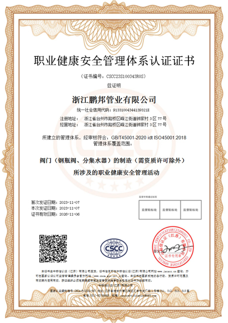 職業(yè)健康安全管理體系認(rèn)證證書(shū)